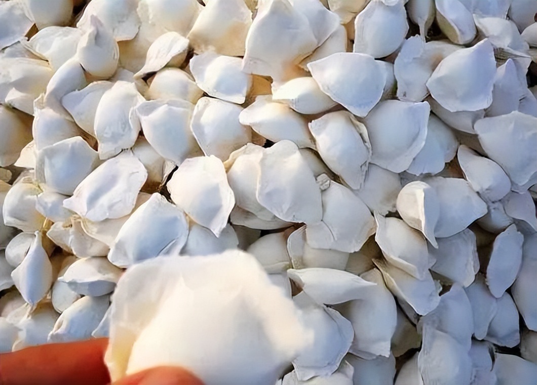 冰箱冻的饺子要不要洗一下再煮,冻饺子放一会再下锅吗