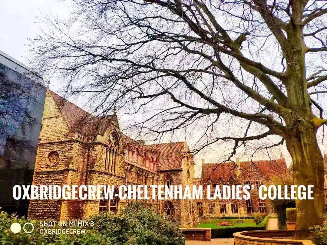 ib大陆最好的私立学校,ib课程前十学校