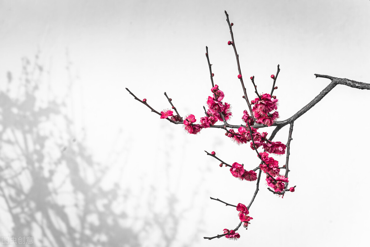 湿热下注膀胱前列腺炎怎么治疗,中医解释湿热下注型前列腺炎