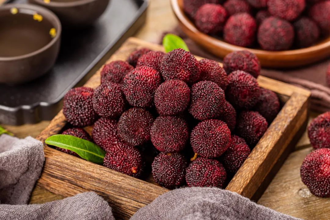 90后辞职回村种植中药材,90后夫妻放弃城市工作回乡当果农