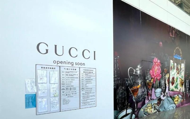 刘雯太平鸟联名t恤,刘雯代言toryburch