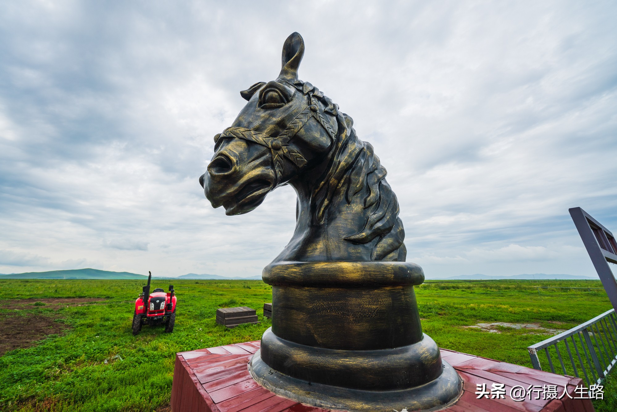 一路向北去黑龙江漠河,一路向北去寻找花海