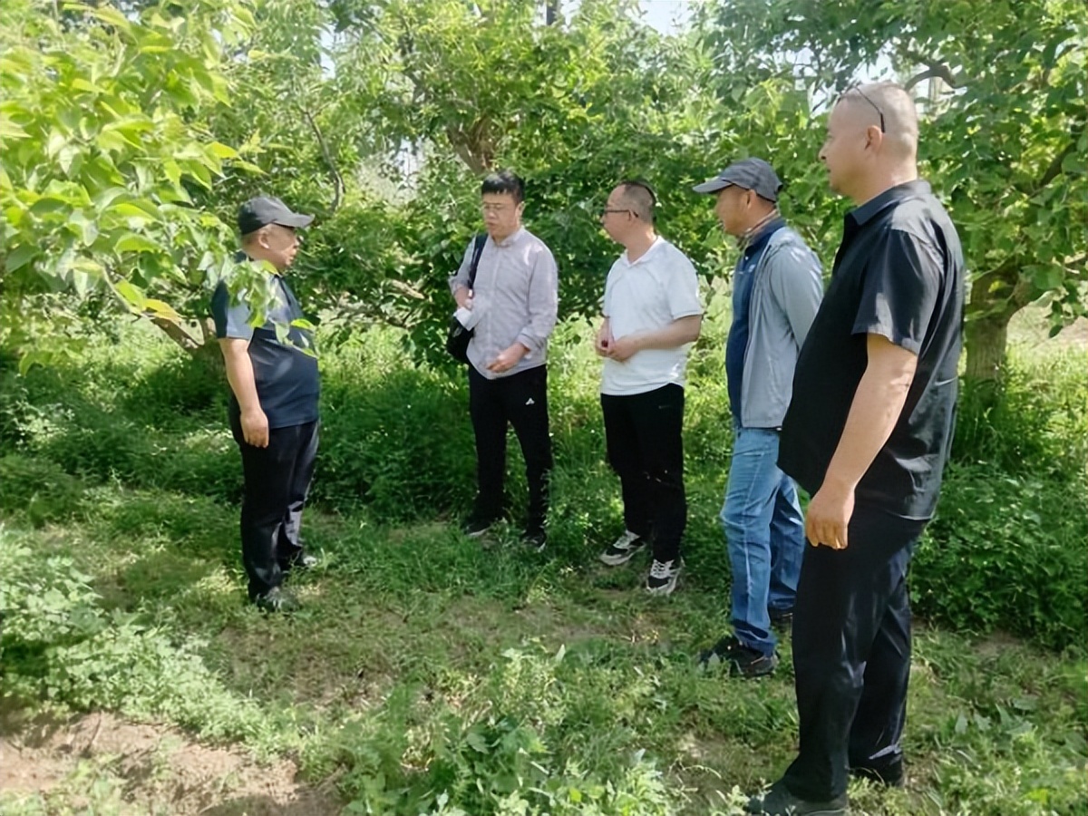 加快林草生态建设,库尔勒生态治理项目
