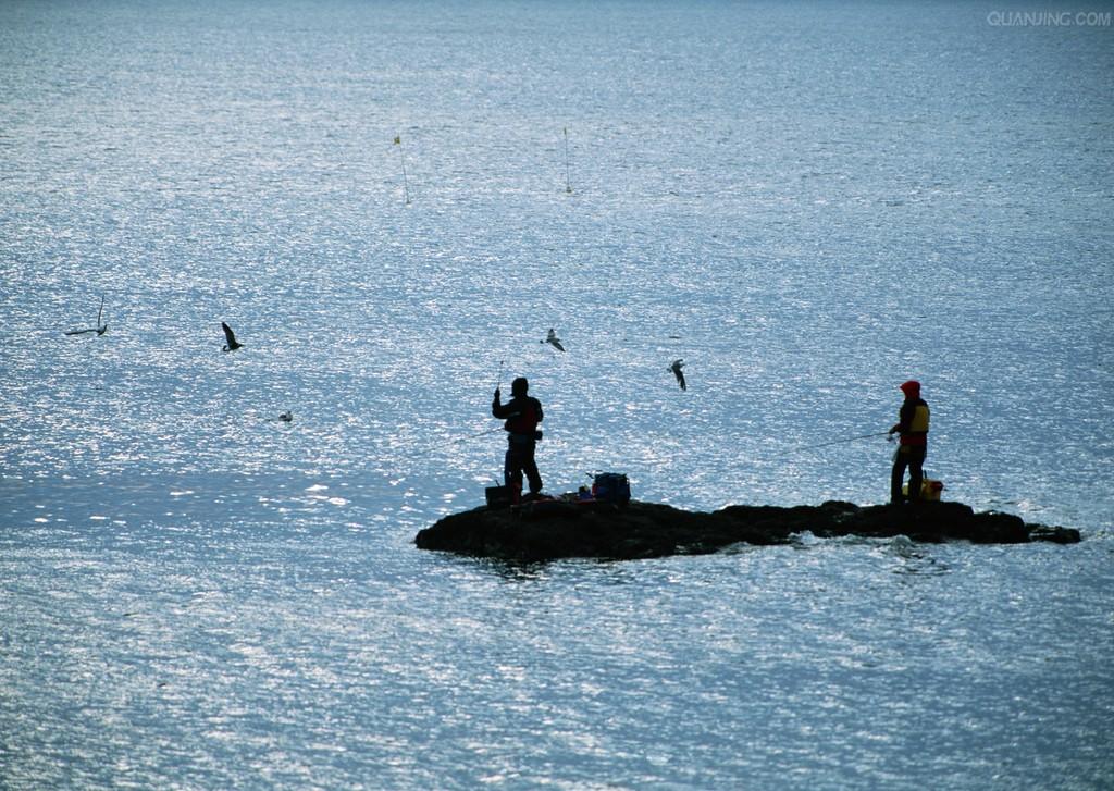 新手钓鱼入门基本知识,水库钓鱼技巧新手入门