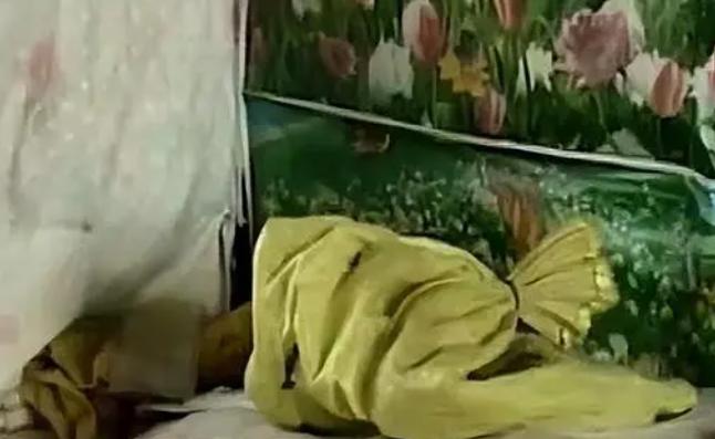 好心奶奶救下蛇20年后,男子救下一条小蛇20年后来报恩