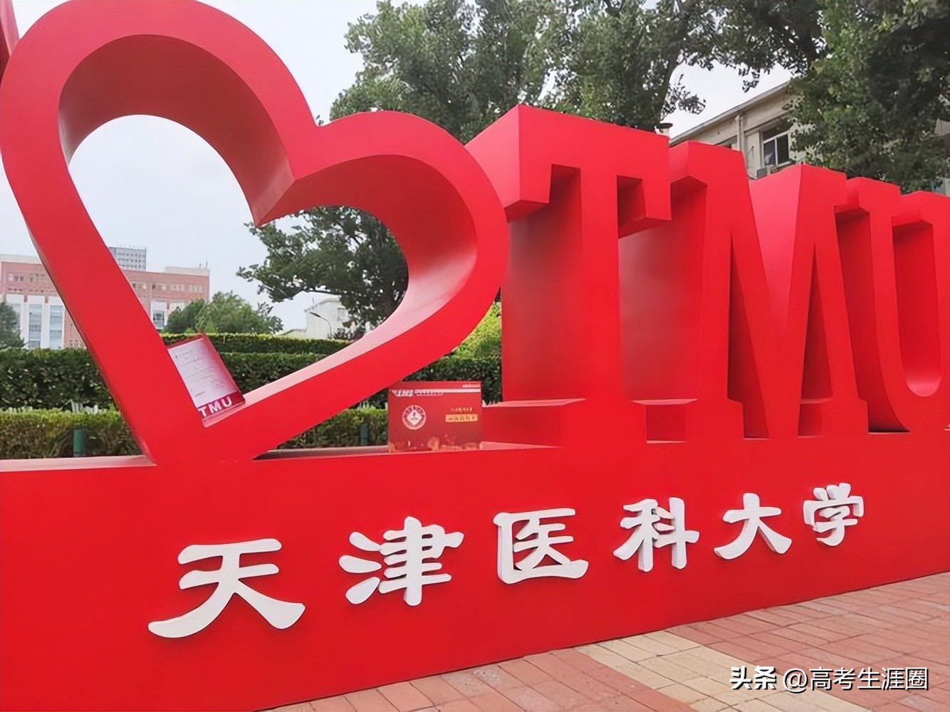 基础医学专业怎么才能当医生,医学哪些专业不能当医生