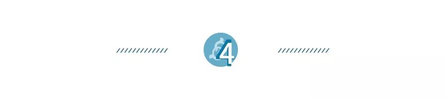 海柳算珠宝吗,海柳是宝石吗图片