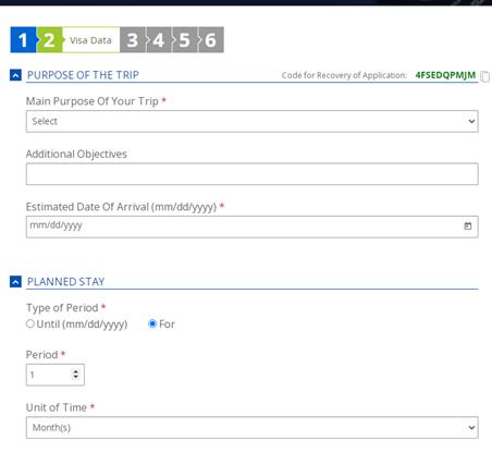 海外办巴西签证,巴西签证因公出国
