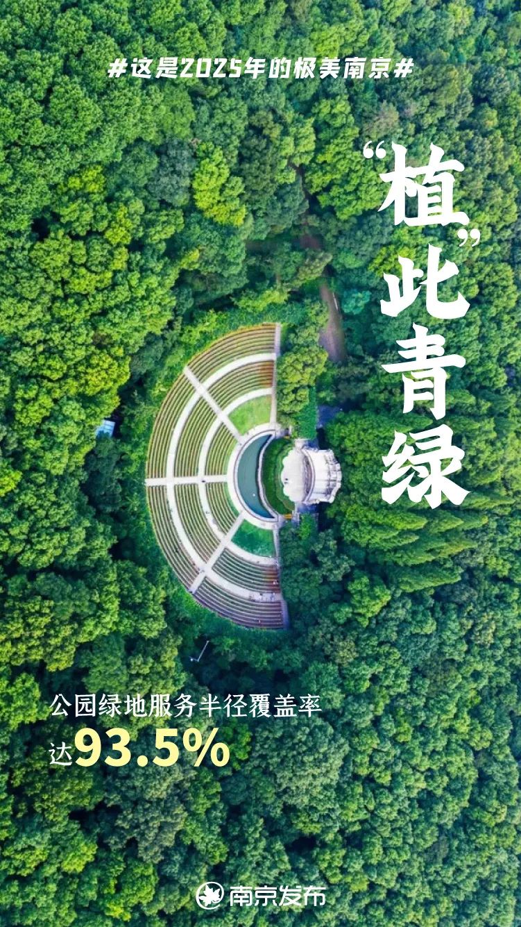 只此青绿片段赏析,莫负春光植青绿