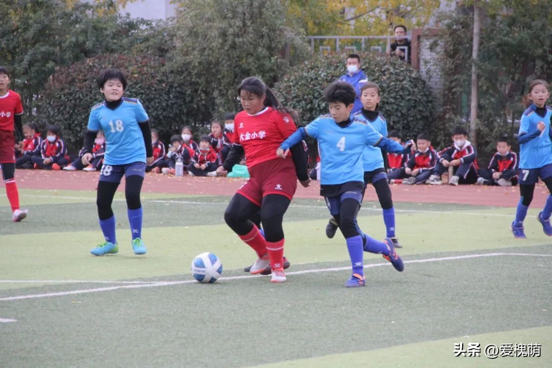 2022体彩杯山东大中小学足球比赛,章丘区体彩杯小学足球联赛
