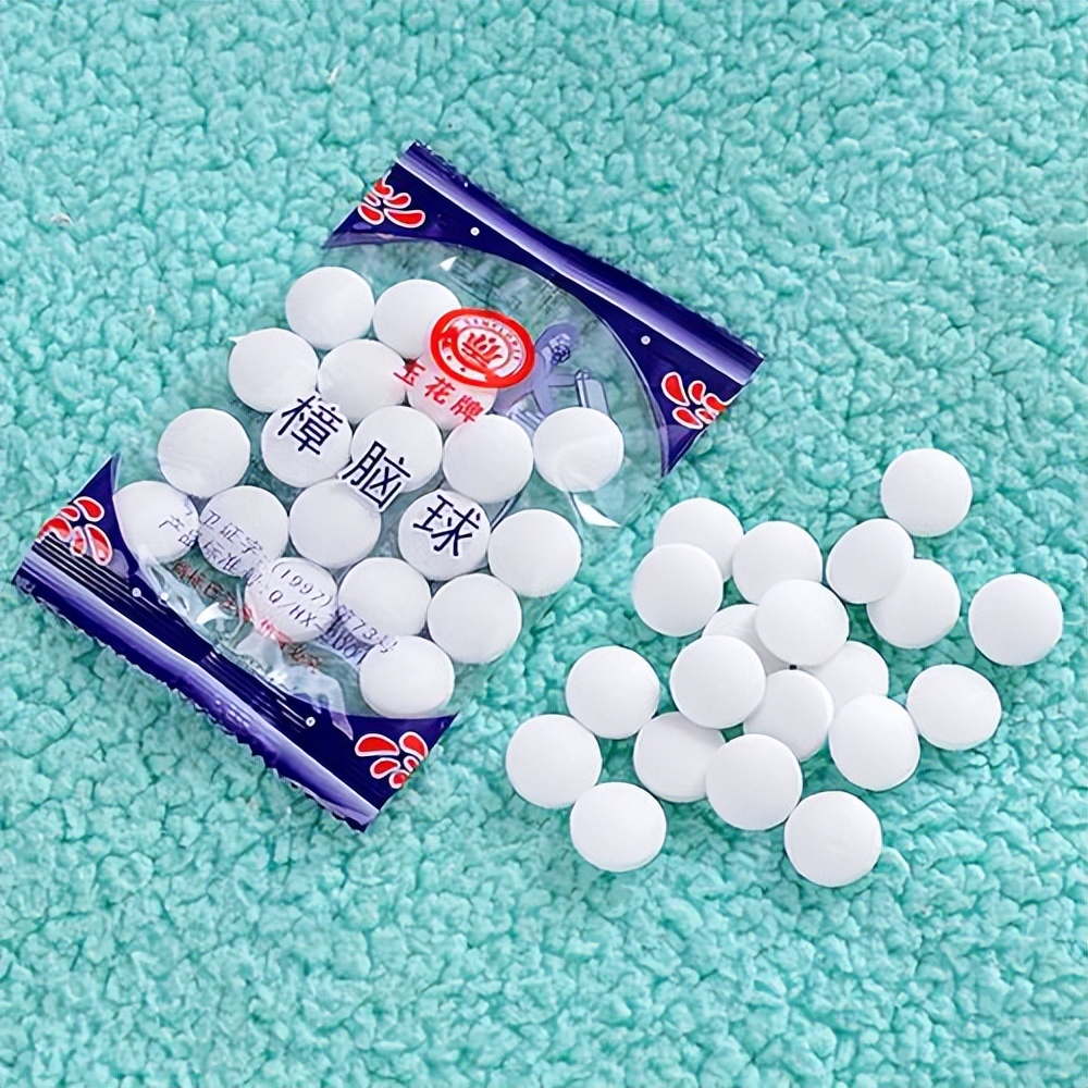 夏季垃圾桶里有小飞虫怎么办,垃圾桶长小飞虫怎么处理