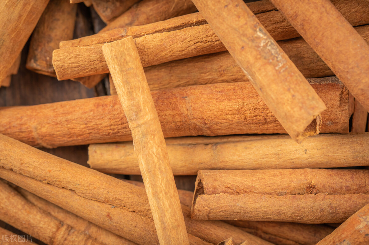 桂皮剥下来树会死吗,为什么黄柏树皮剥了不会死