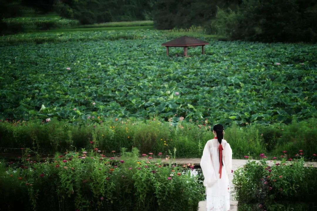 含有春字的飞花令有哪些古诗词,春字飞花令100首必背诗词