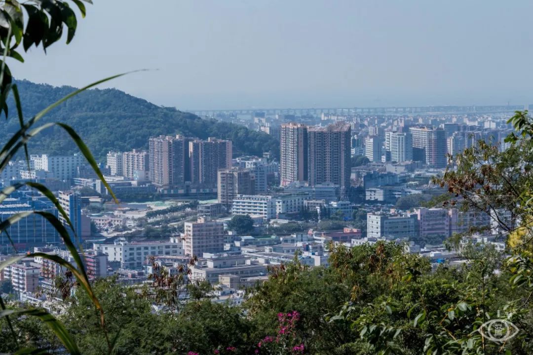 深圳10条入门登山线路推荐,深圳十大山峰最新登山攻略