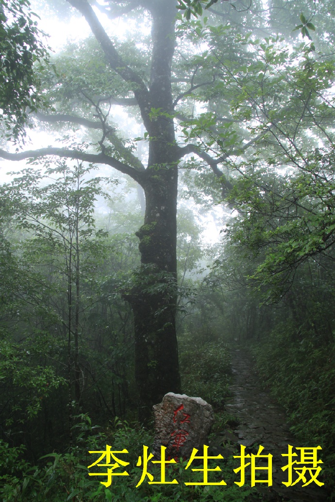 桂林猫儿山老山界,老山界猫儿山