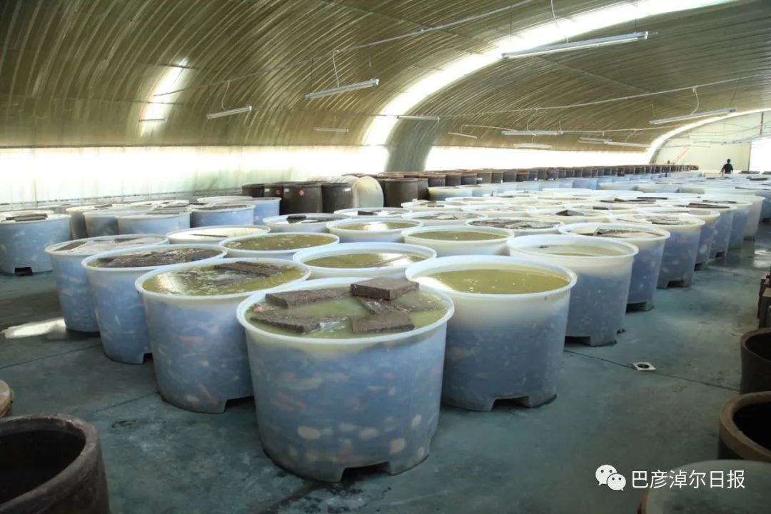 寻找陕坝味道,陕坝味道美食