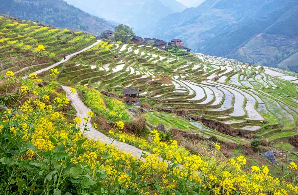 5月底桂林梯田摄影,桂林阳朔山水风光摄影团攻略
