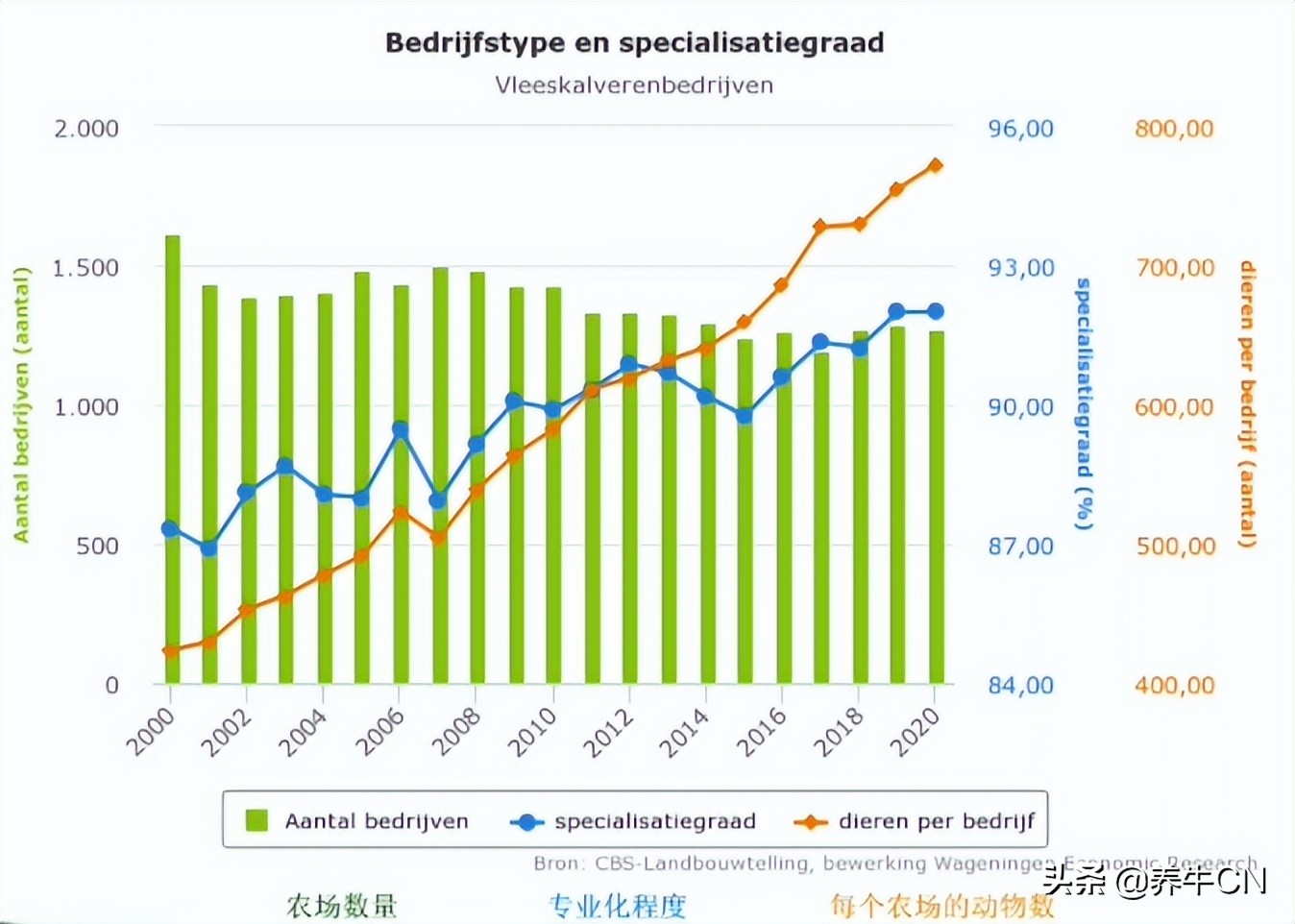 奶公犊牛饲养效益分析,奶公小牛犊如何饲养