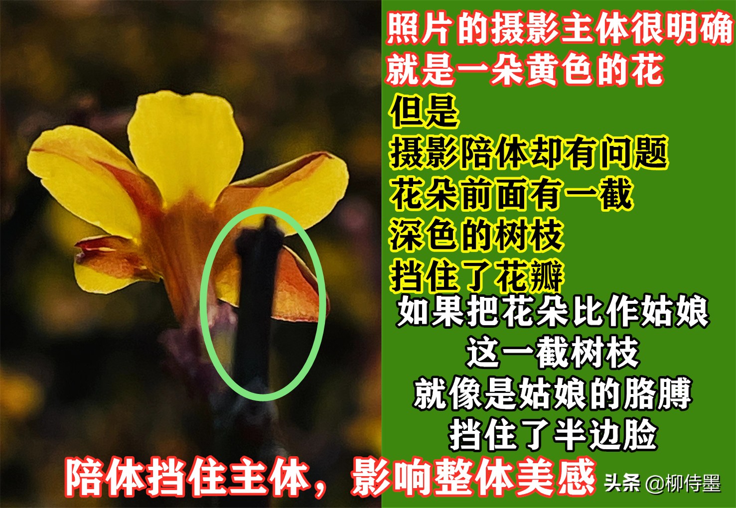 手机摄影照片细节拍摄技巧,手机摄影拍照的五大误区