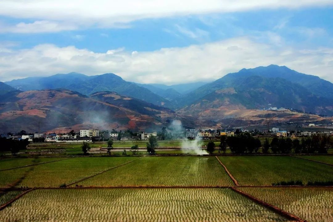 什么房子买完容易砸手里,房子卖不出去砸手里了怎么办