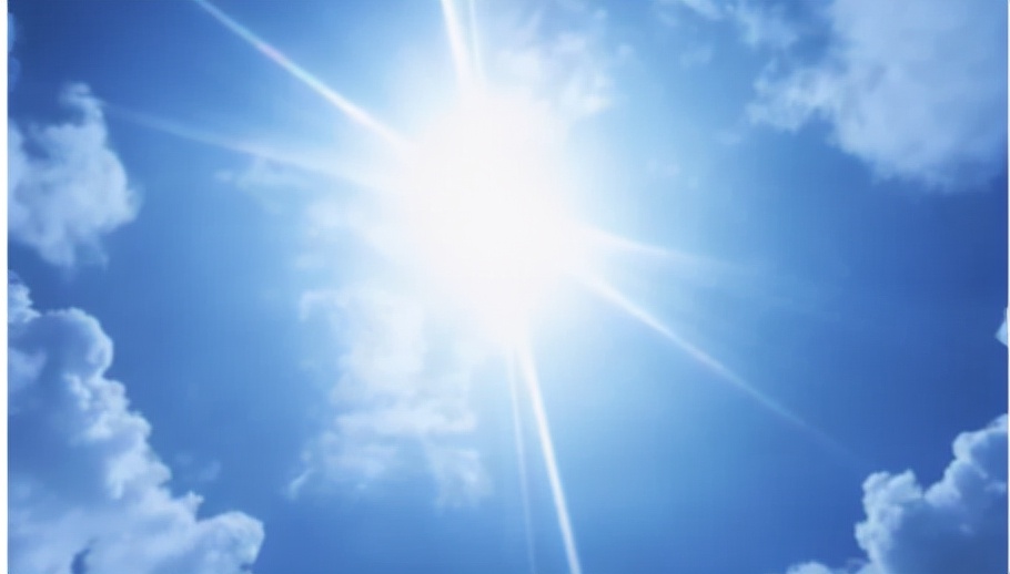 切尔诺贝利抗辐射真菌,切尔诺贝利发现的真菌