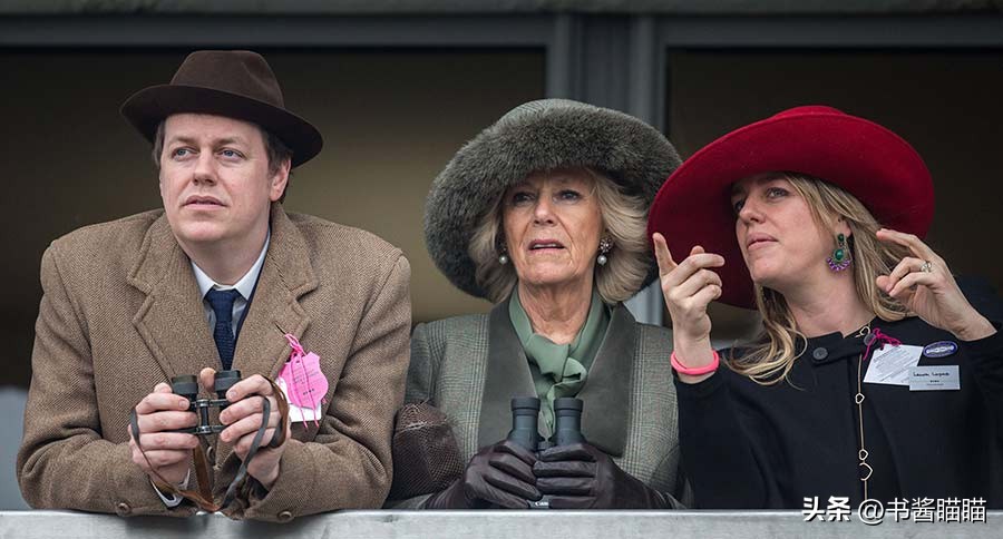 卡米拉王后的孙辈 (卡米拉王后的孙辈照片)