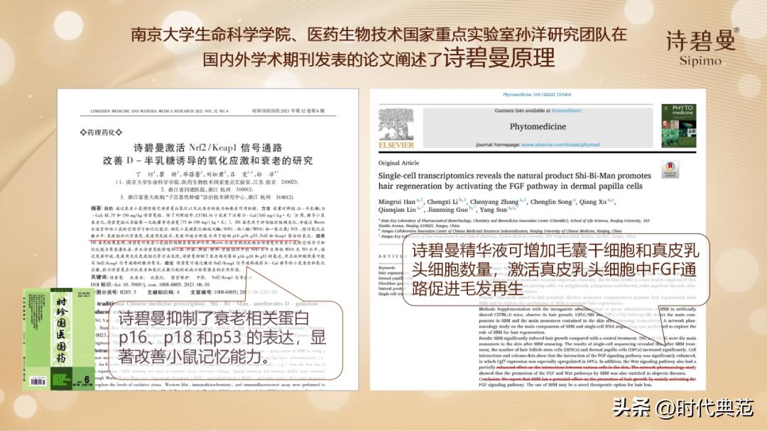 诗碧曼海外市场负责人陈芝妍亮相第十届中国企业家发展年会