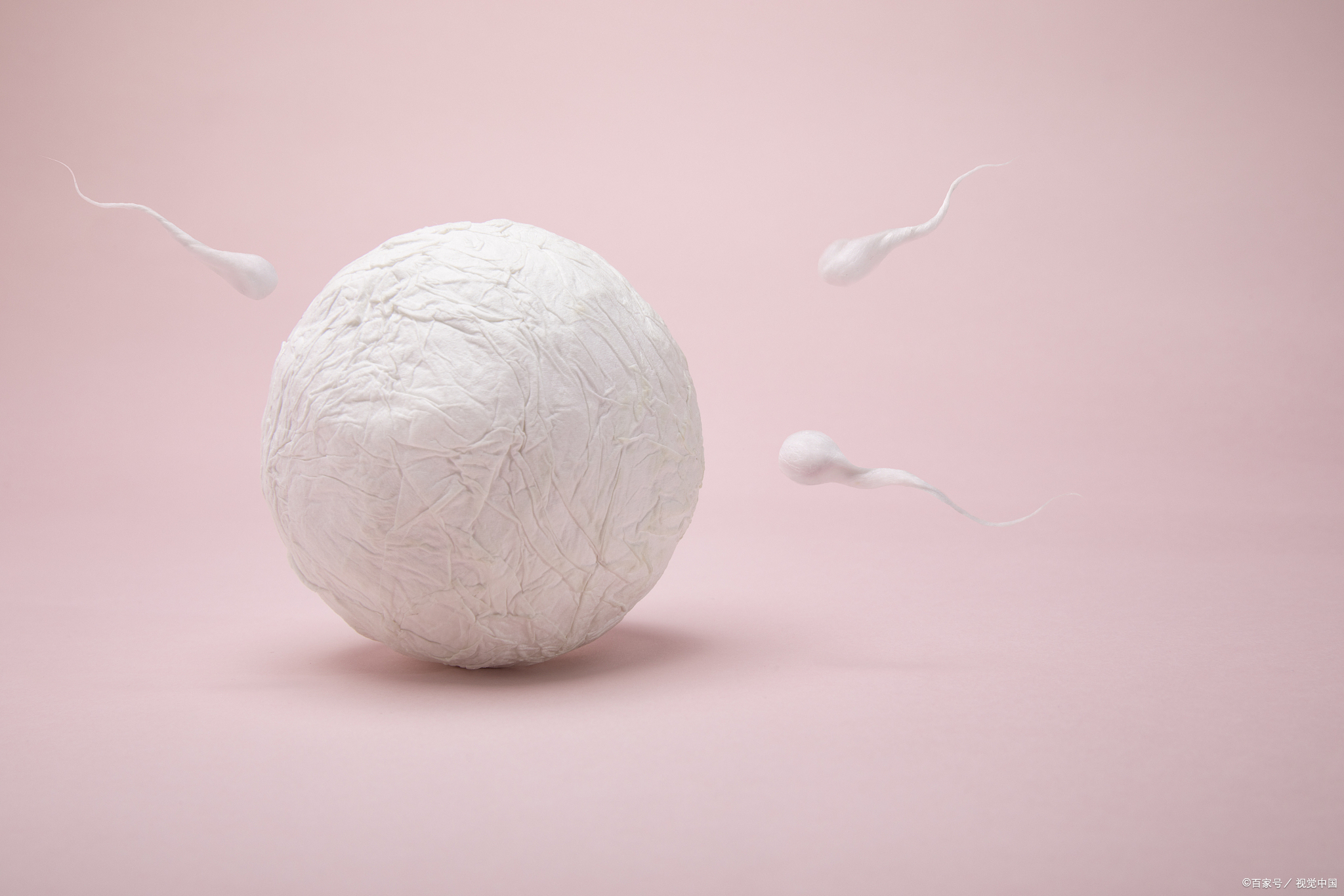 提高卵子质量的最佳方法,怎样提高三代试管卵子质量