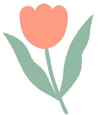 深圳宝安区两日游,深圳宝安区一日游推荐自由行