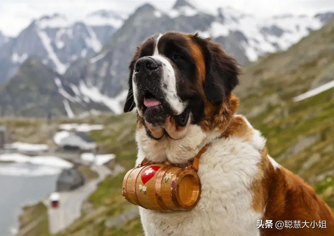 初游欧洲走进浪漫之都,欧洲游推荐自由行