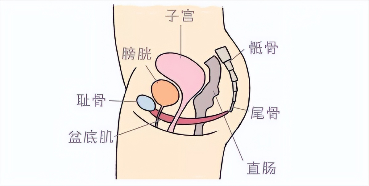 女性为什么会发生阴道痉挛？缓解阴道痉挛，伴侣的作用相当重要
