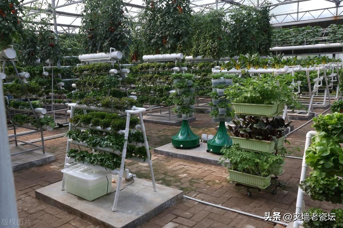 退休老人创业赚钱吗,退休后想在农村创业做什么好