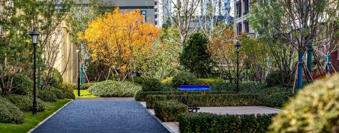 融创外滩壹号院你是我的荣耀,融创外滩壹号院生活体验