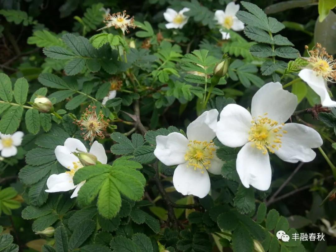 灏婇噸浠栦汉涔熸槸绛変簬灏婇噸鑷繁,灏婇噸鑷繁鍜屽皧閲嶄粬浜虹殑宸紓