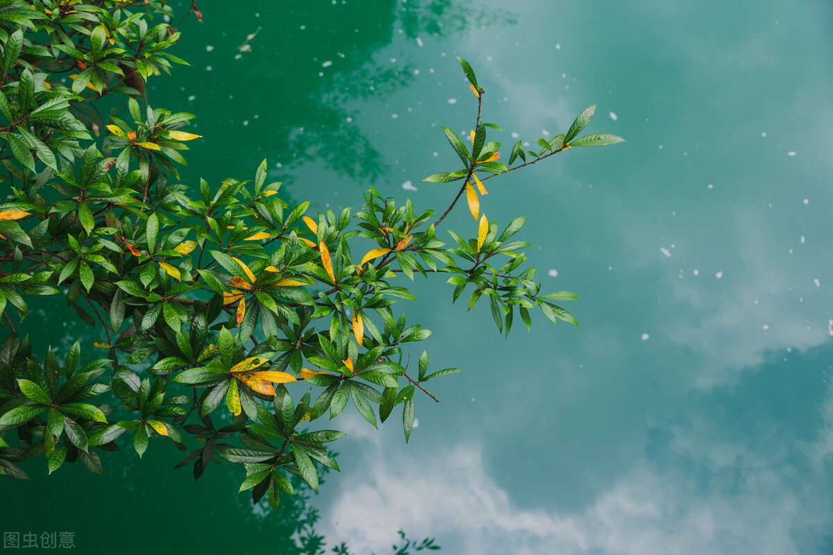 胜人者有力自胜者强给我们的启示,胜人者有力自胜者强给人的感悟