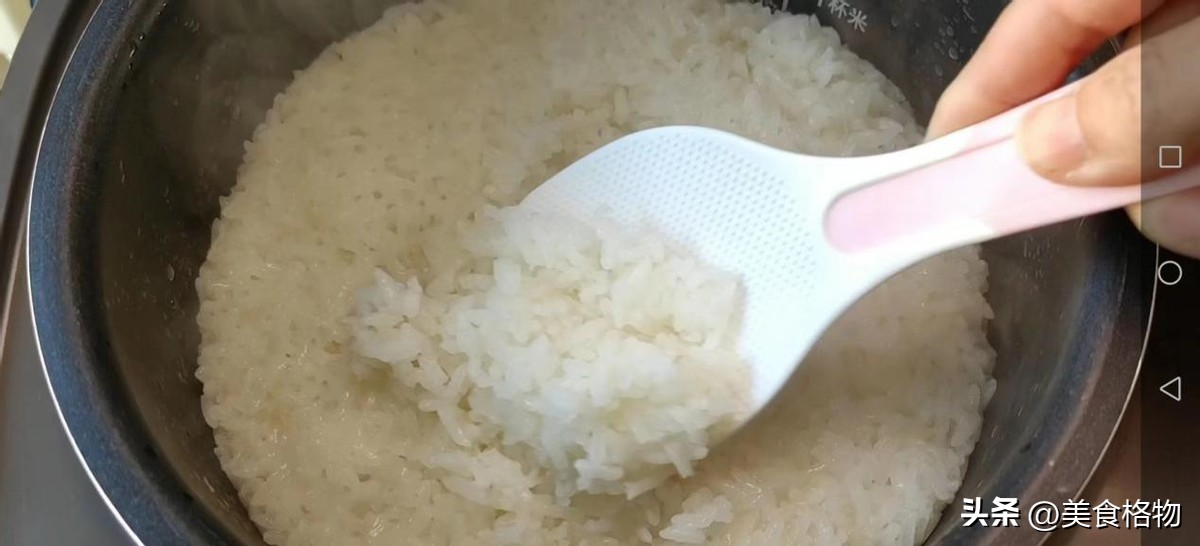 在家制作最纯正的米酒,自己在家酿的纯米酒