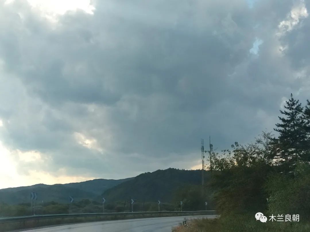 相亲之路十六：匆匆还乡防断肠