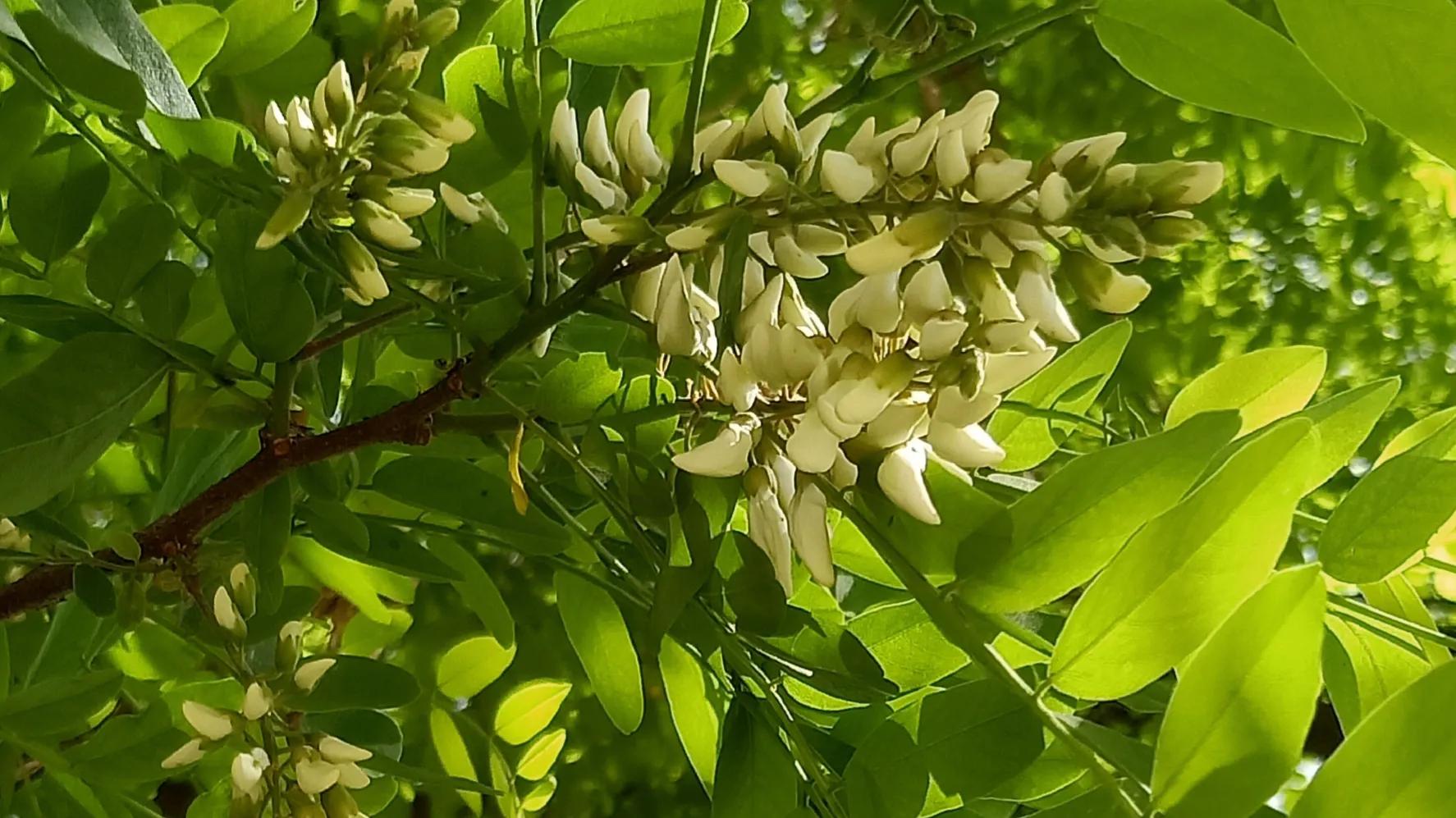 性是第一位的——女人会爱上多个男人合理吗因爱而性、因性而爱