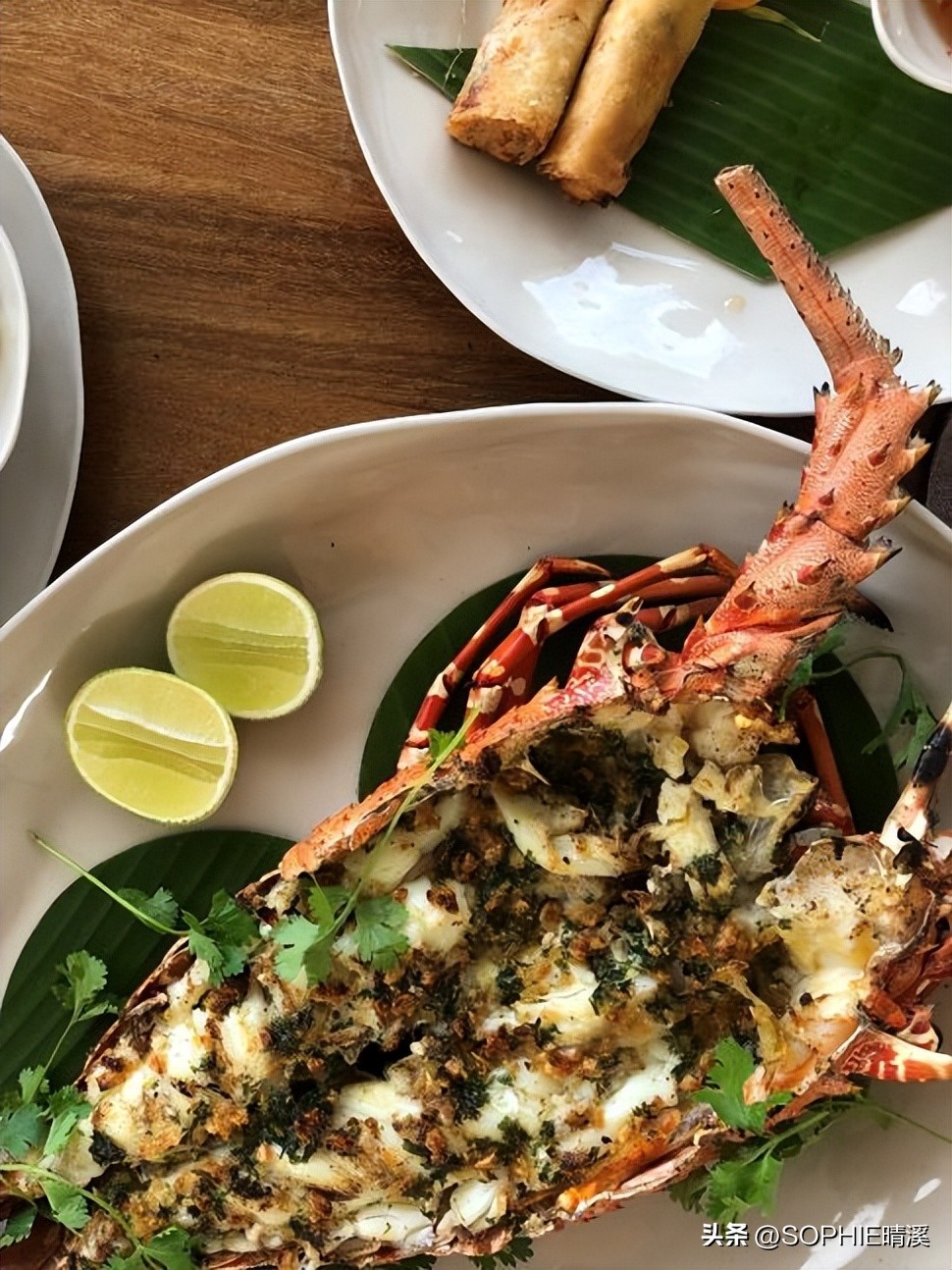 从广州到越南胡志明要多长时间,从广州到越南河内坐飞机几个小时