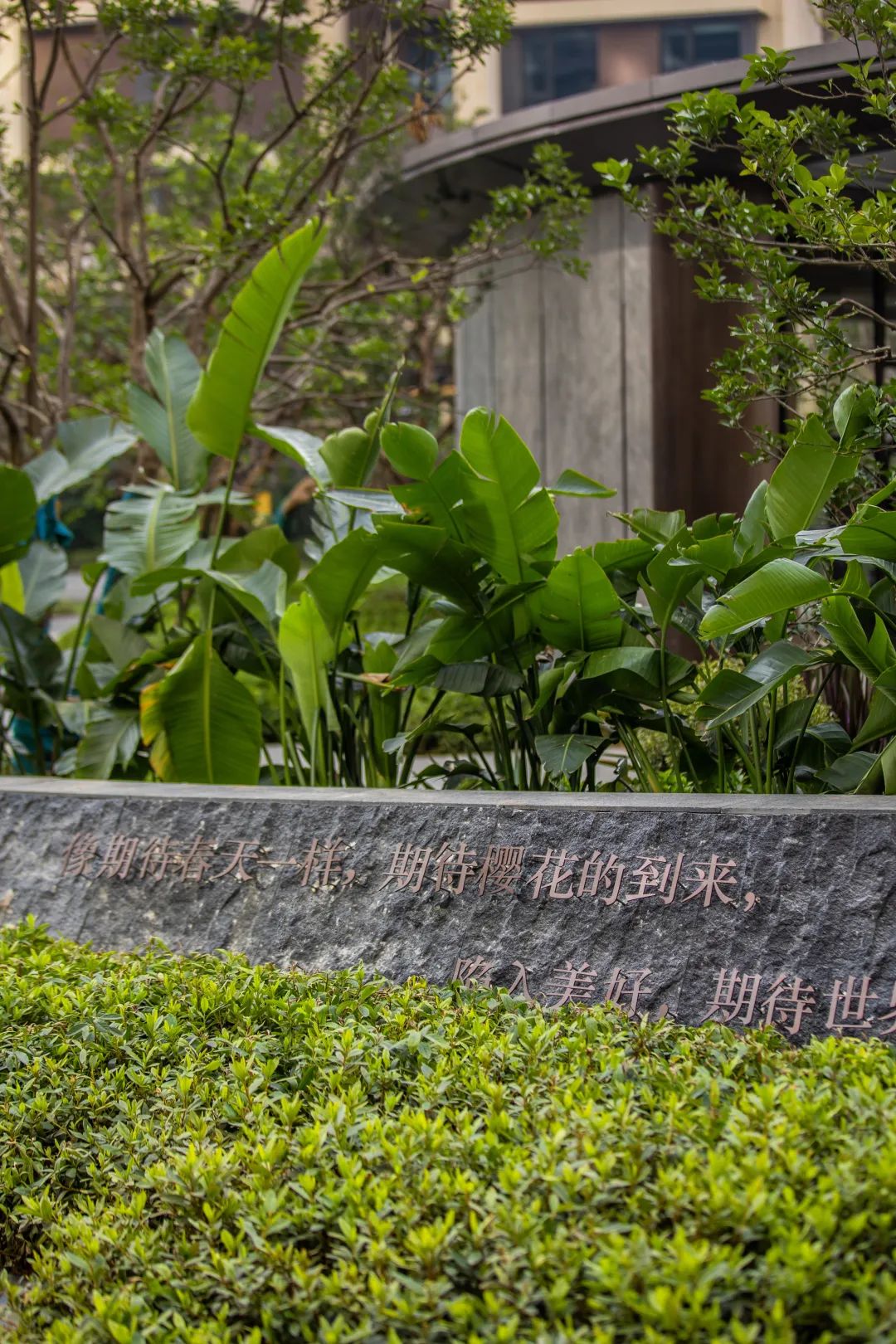 为什么龙湖的房子户型一直在迭代,为什么龙湖最好