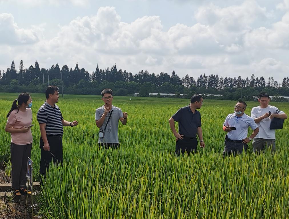 以微生物技术推进化肥减量,农业农药化肥减量化工作开展情况