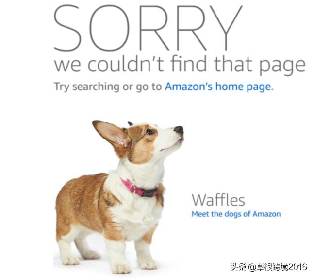 亚马逊新品初期转化率低有救吗,卖家注意亚马逊自配