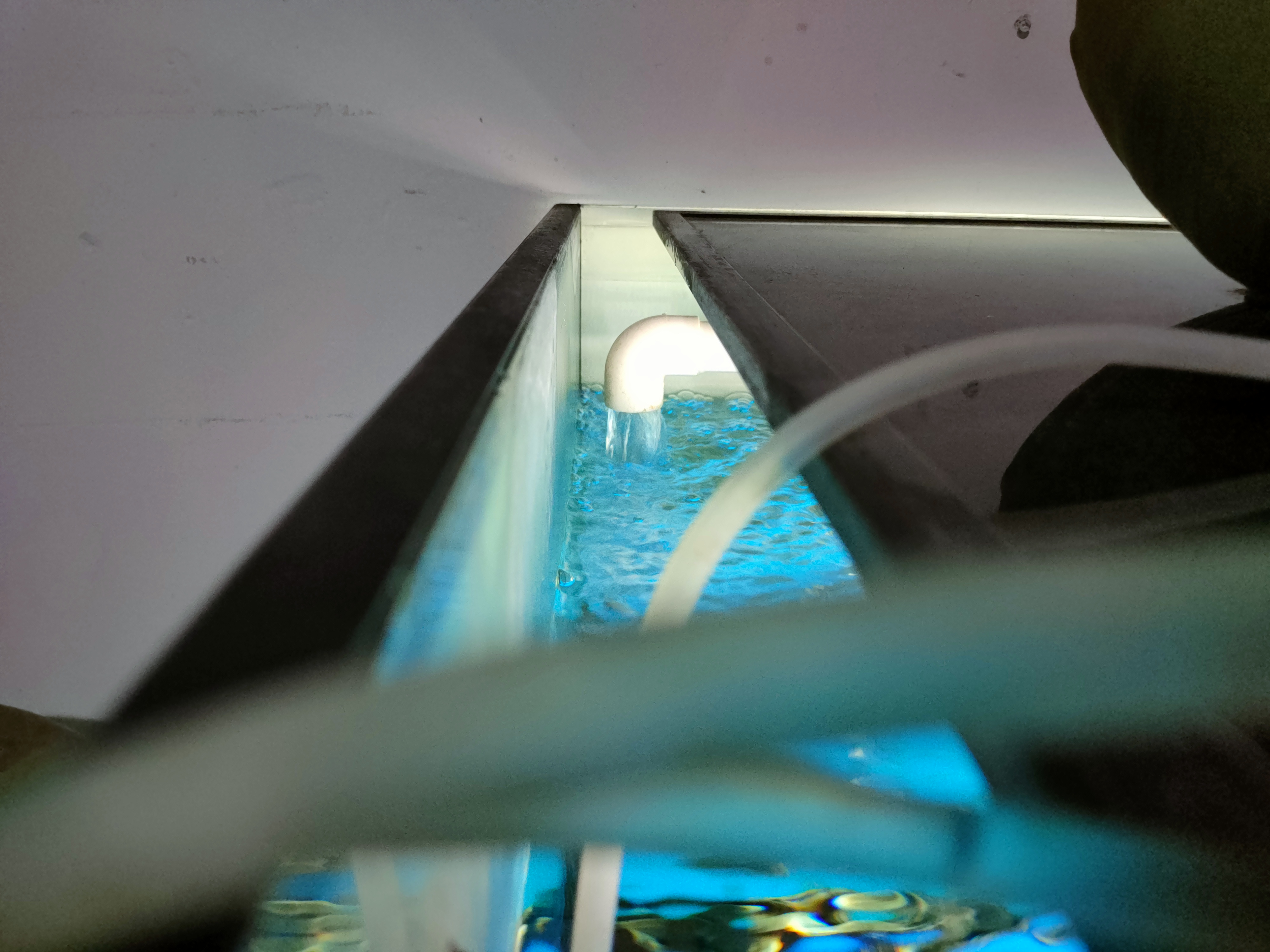 底滤鱼缸下水口消除噪音妙招,鱼缸下水噪音如何解决