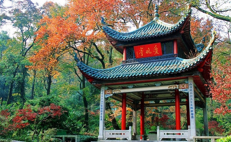 湖南必去的十大网红景点,湖南常德旅游十大必去景点