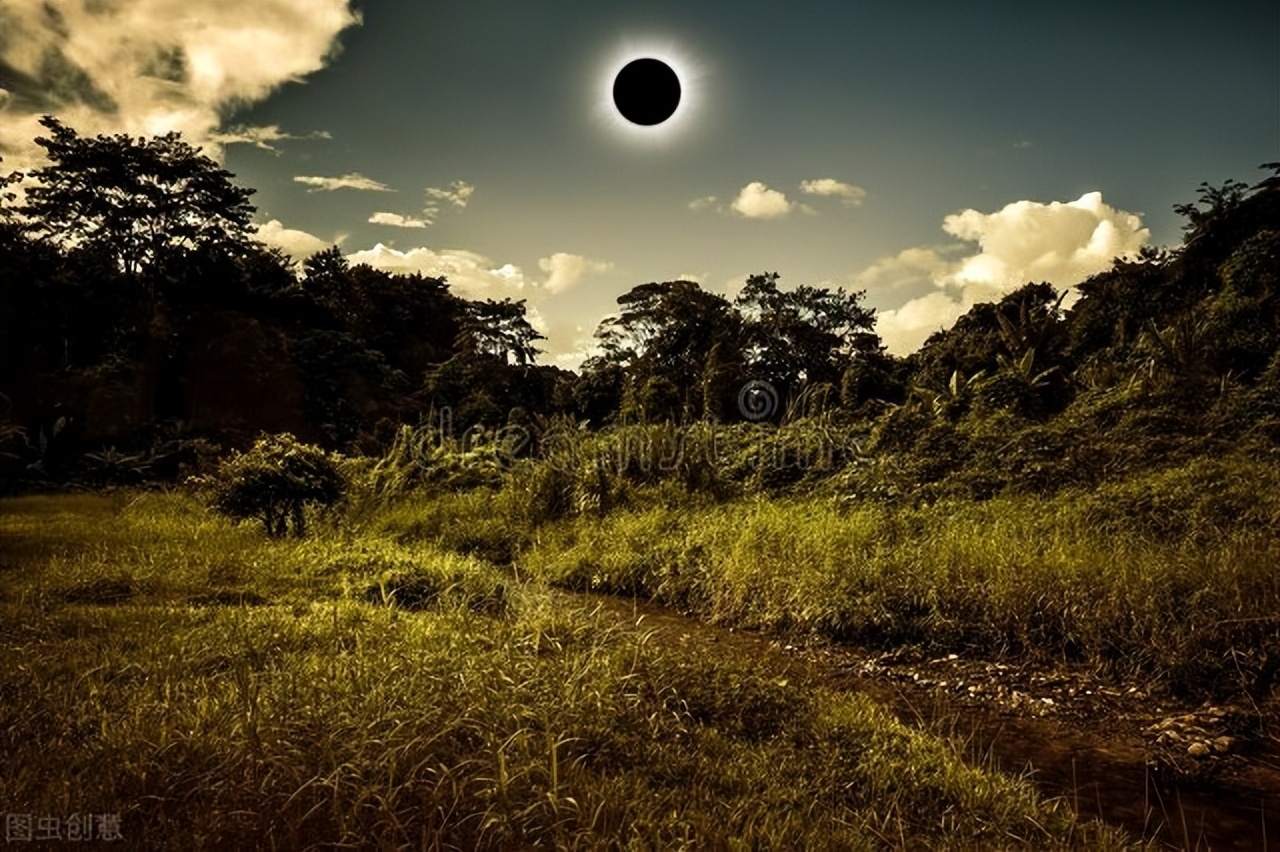 楦甸笩涓庡叾浠栧姩鐗╃殑鎴樻枟,楦甸笩涓庝汉鎼忔枟