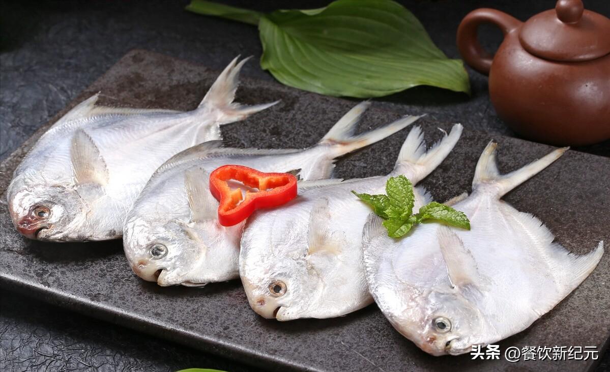 五种便宜人工不能养殖的鱼 (买什么鱼不能人工养殖)