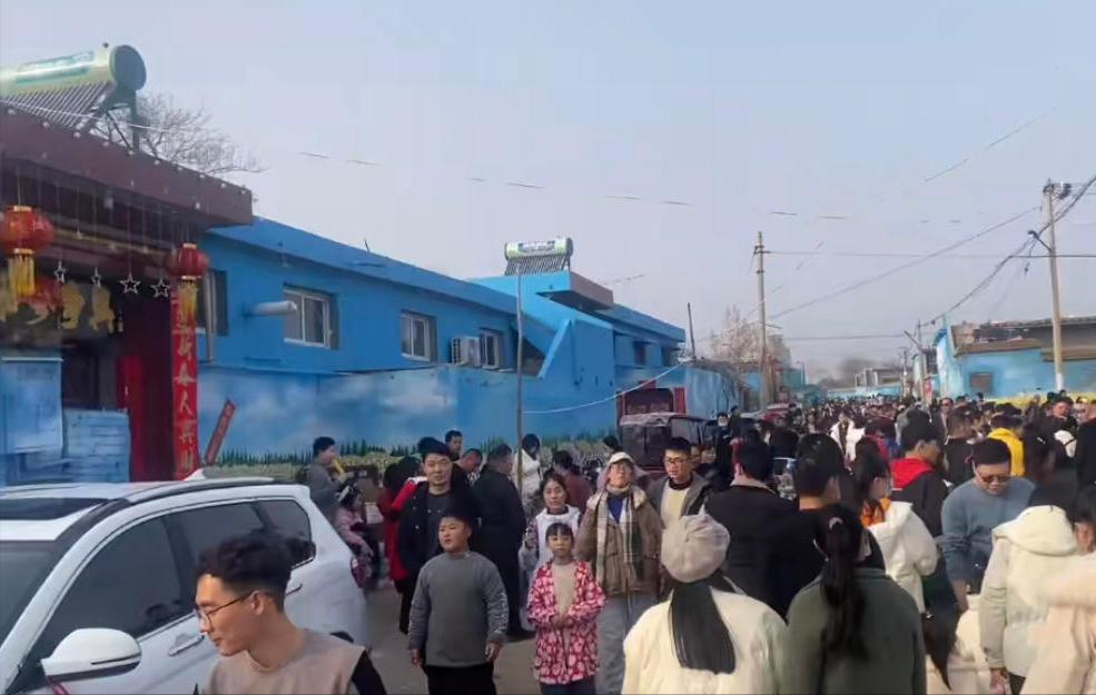 90后画家网红村,央视网红画家