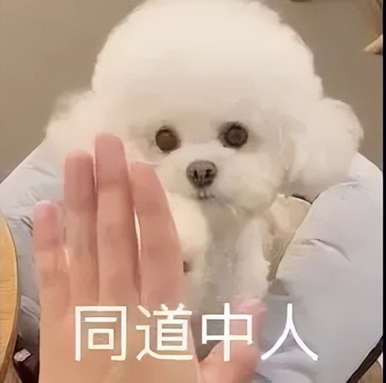 吉林建筑科技学院美术录取分数线,吉林2022高考分数线预测