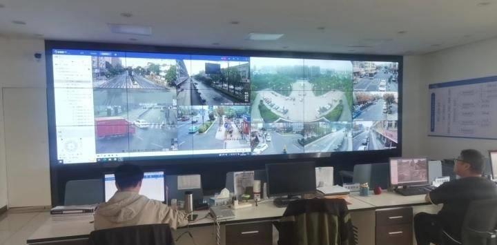 靖江樱花美景,美到极致的园林景观欣赏