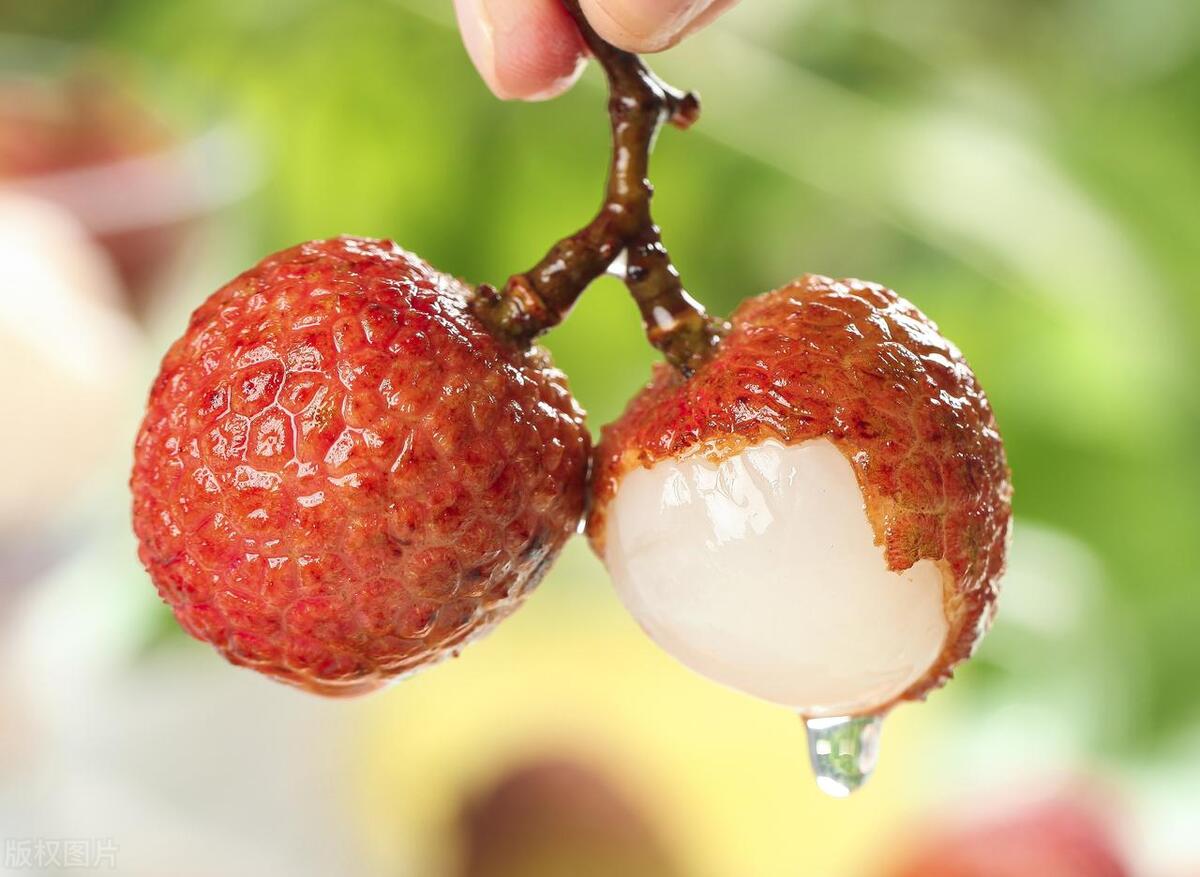 荔枝多少钱一斤妃子笑,今日妃子笑高州荔枝价格